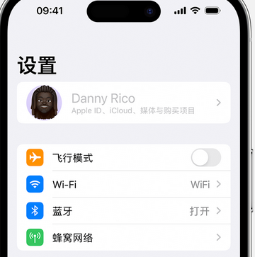 理县appleID维修服务iPhone设置中Apple ID显示为灰色无法使用 