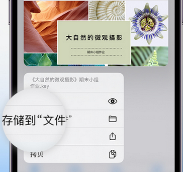 理县apple维修中心分享iPhone文件应用中存储和找到下载文件