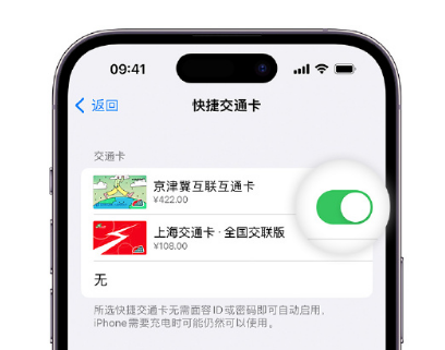 理县apple维修点分享iPhone上更换Apple Pay快捷交通卡手绘卡面 