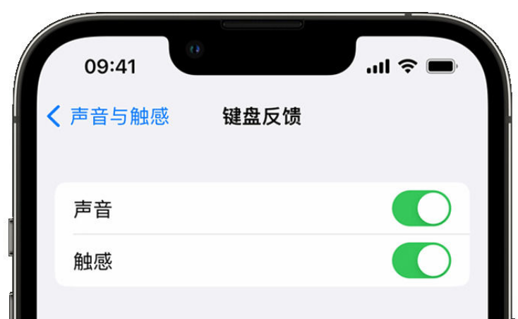 理县苹果手机维修分享iPhone 14触感键盘使用方法 