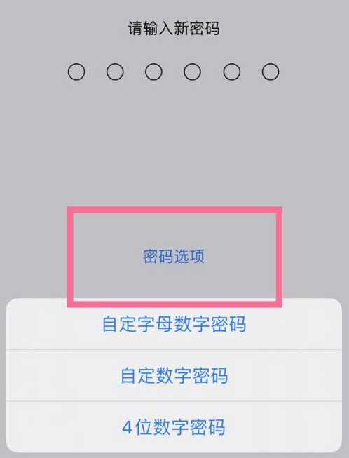 理县苹果14维修分享iPhone 14plus设置密码的方法 