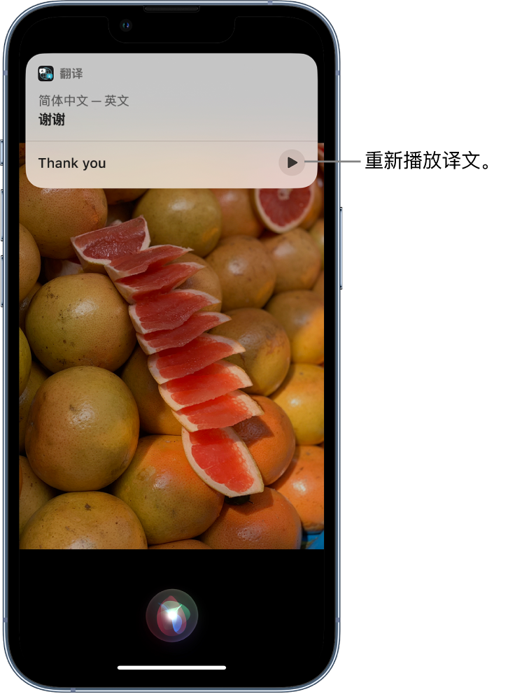 理县苹果14维修分享 iPhone 14 机型中使用 Siri：了解 Siri 能帮你做什么 