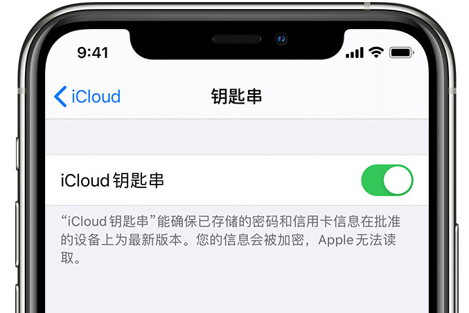 理县苹果手机维修分享在 iPhone 上开启 iCloud 钥匙串之后会储存哪些信息 