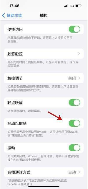 理县苹果手机维修分享iPhone手机如何设置摇一摇删除文字 