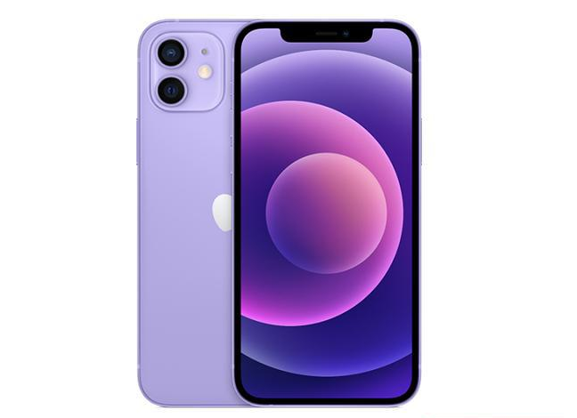 理县苹果手机维修分享现阶段要不要入手紫色版iPhone12 