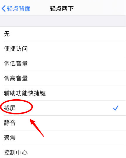 理县苹果手机维修分享iPhone12如何启用双击截屏 